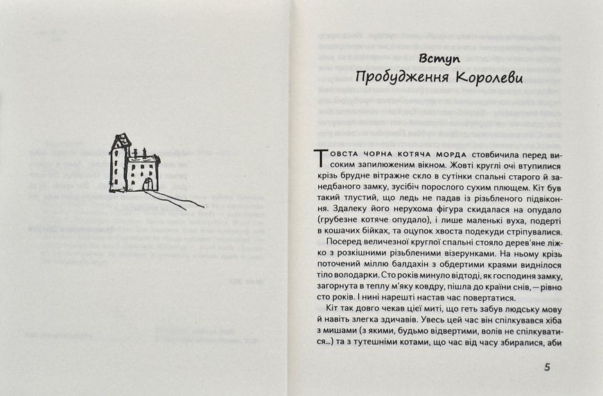 Чубзики 1005804 фото
