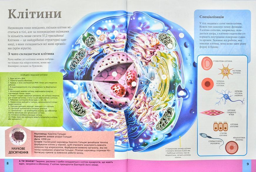 Дитяча енциклопедія тіла людини 173076 фото