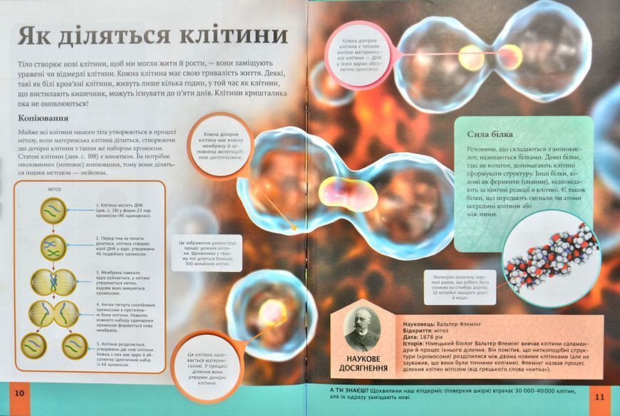 Дитяча енциклопедія тіла людини 173076 фото