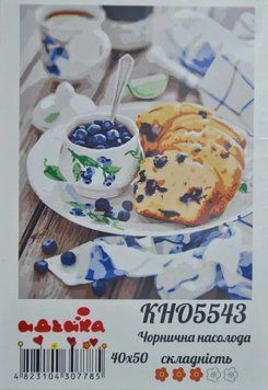 Розпис по номерах Чорнична насолода 40х50 166871 фото