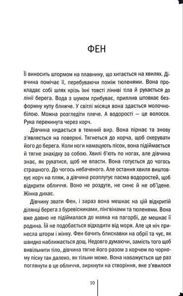 Дикий темний берег 1034747 фото