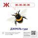 Звуконаслідування. Абетка QR 1017538 фото 2