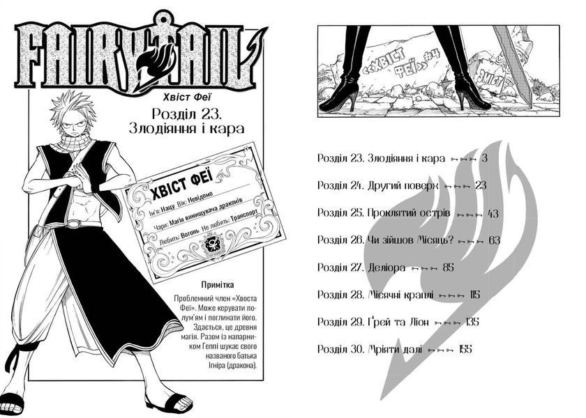 Fairy Tail. Том 4 1035949 фото