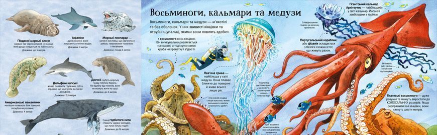 Велика книга морських мешканців 1006544 фото