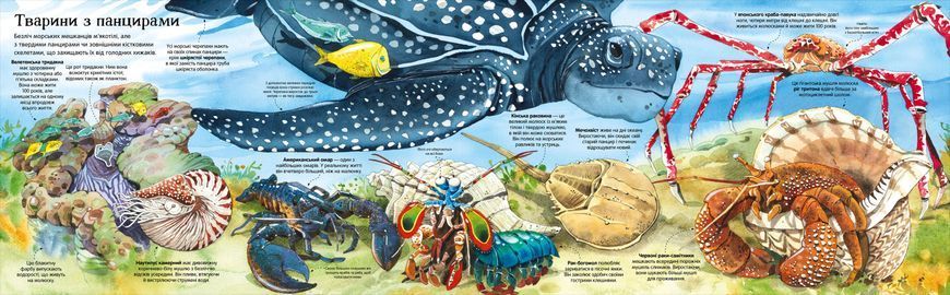 Велика книга морських мешканців 1006544 фото