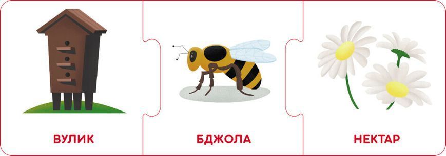 Логічні ланцюжки. Світ тварин. Хто де живе і що їсть 1022169 фото
