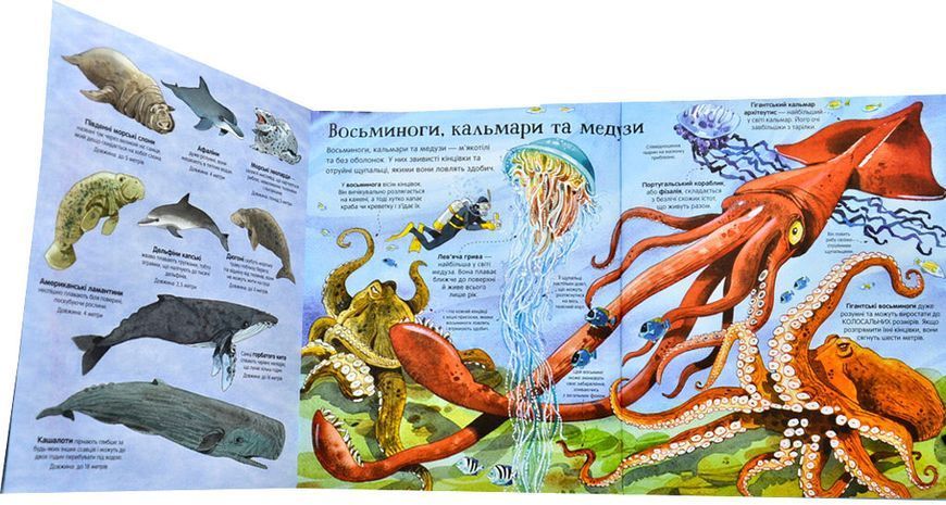 Велика книга морських мешканців 1006544 фото