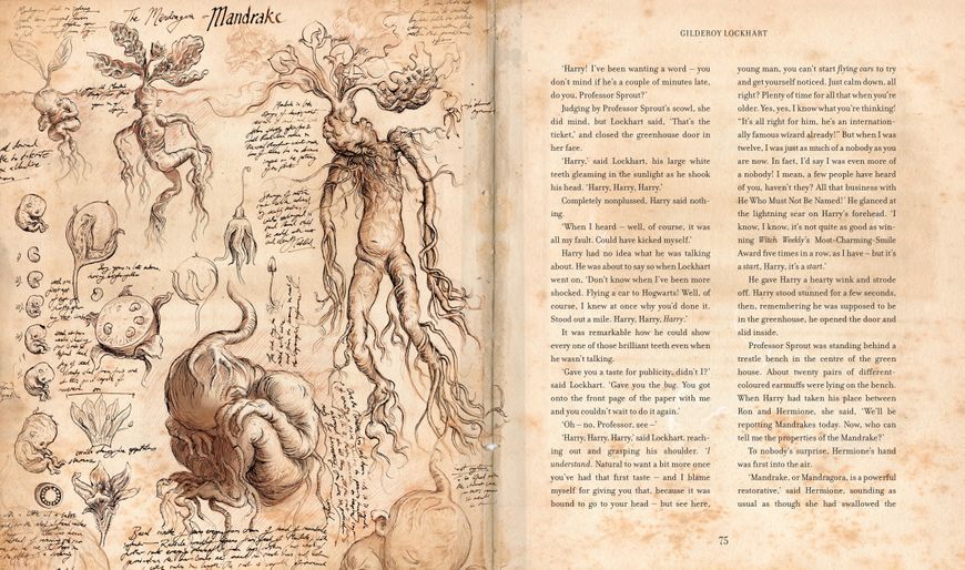 Harry Potter and the Chamber of Secrets Illustrated Edition 1023551 фото