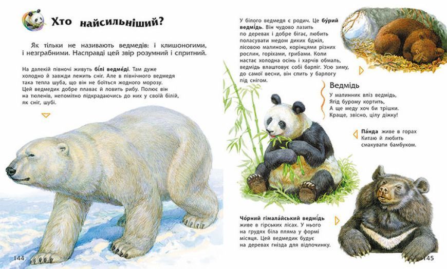 Енциклопедія дошкільника (збірник) 1014979 фото