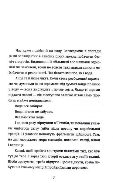 Бульбона 1032890 фото