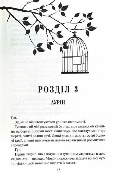 Золото. Книга 5. Золота бранка 1029072 фото