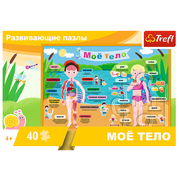 Пазли навчальні Моє тіло 40 елементів Trefl 15528 1002357 фото