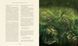 Harry Potter and the Goblet of Fire Illustrated Edition 1023553 фото 8