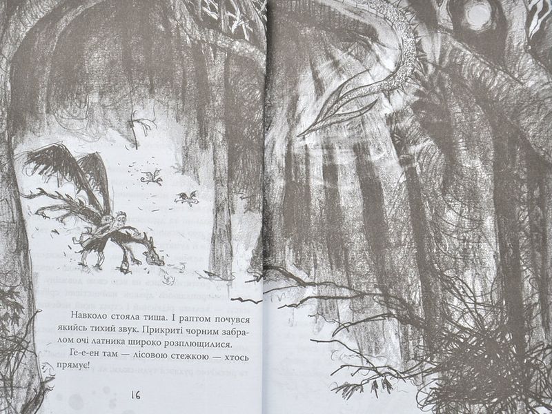 Як приручити дракона. Книга 10. Як знайти Камінь Дракона 1004822 фото