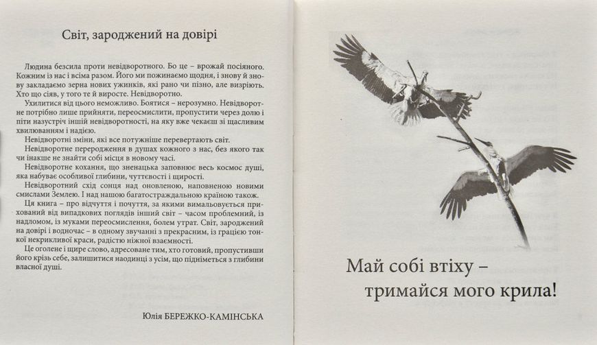 Невідворотне 169857 фото