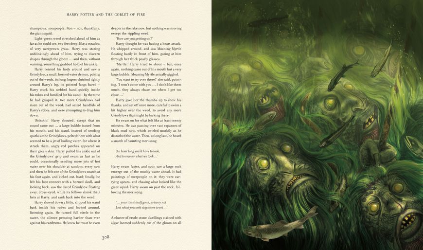 Harry Potter and the Goblet of Fire Illustrated Edition 1023553 фото