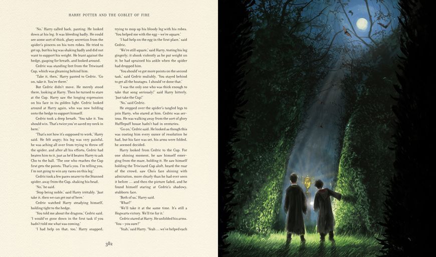 Harry Potter and the Goblet of Fire Illustrated Edition 1023553 фото