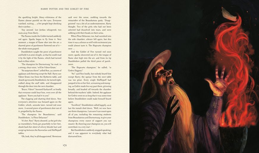 Harry Potter and the Goblet of Fire Illustrated Edition 1023553 фото