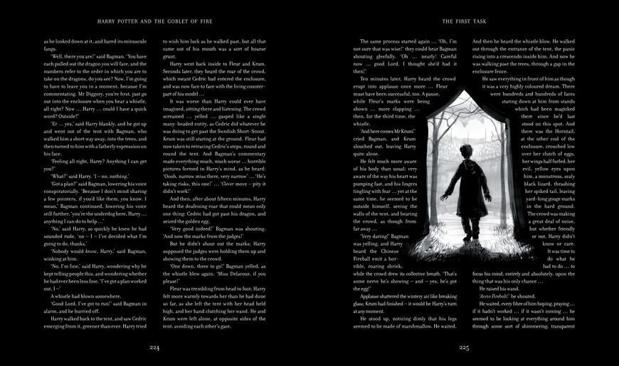 Harry Potter and the Goblet of Fire Illustrated Edition 1023553 фото