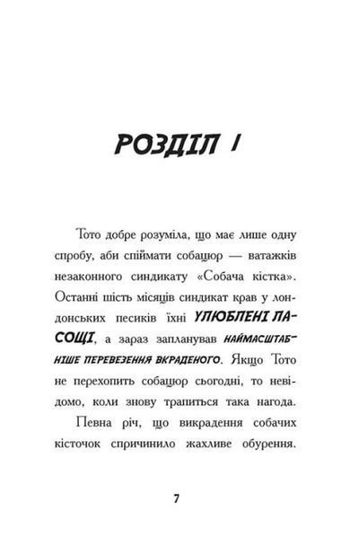 Тото. Кішка - ніндзя і КОТОстрофа суперзірки. Книга 3 1019440 фото