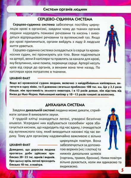 Світ навколо нас. Тіло людини 1005668 фото