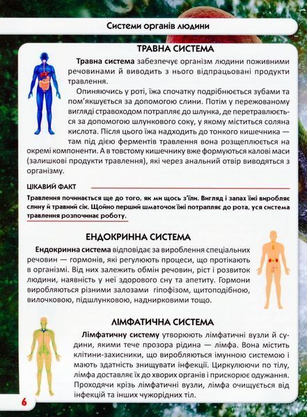 Світ навколо нас. Тіло людини 1005668 фото