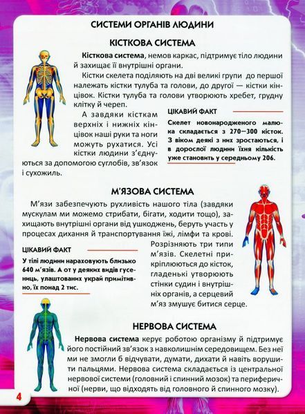 Світ навколо нас. Тіло людини 1005668 фото