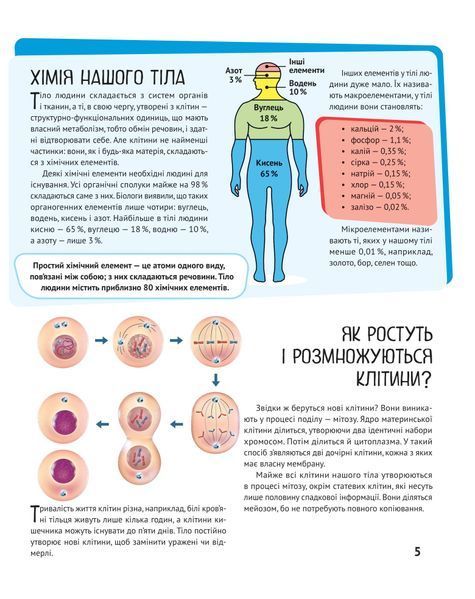 Тіло людини. Дитяча ілюстрована енциклопедія 1018651 фото