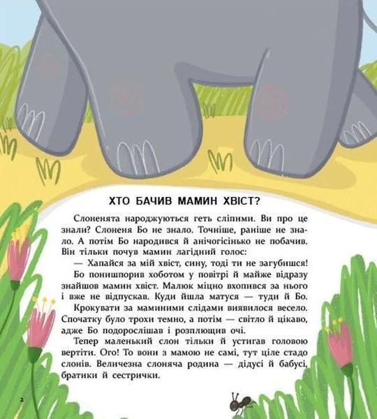Хто бачив мамин хвіст? 1034538 фото