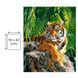 Картина по номерах Bookopt Полосатий принц 40х50 (BK1377) 1011518 фото 12