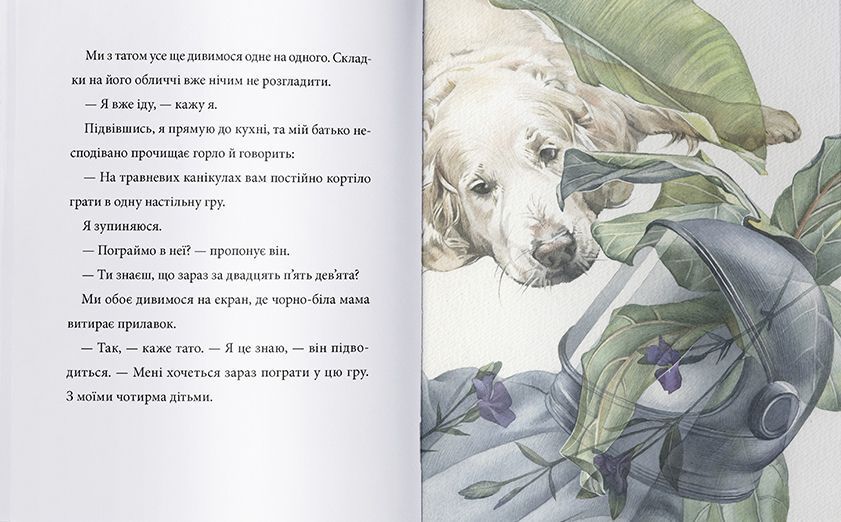 Аляска 1014645 фото