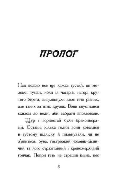 Тото. Кішка - ніндзя і легенда про дикого кота. Книга 5 1019441 фото