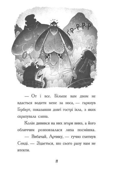 Тото. Кішка - ніндзя і легенда про дикого кота. Книга 5 1019441 фото