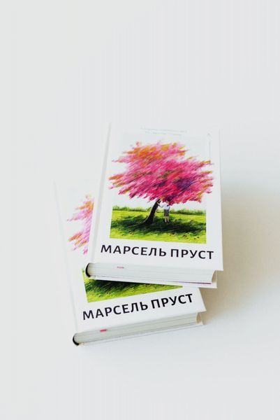 У пошуках утраченого часу. Книга 1. На Сваннову сторону 1029249 фото
