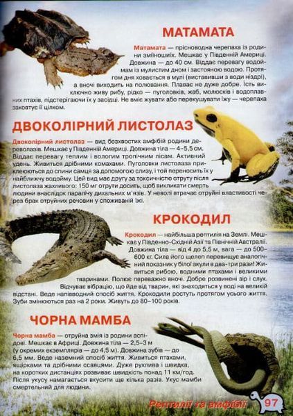 Ілюстрований атлас живої природи 148131 фото