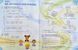 Робочий зошит для 3 класу Activity Book 1004290 фото 5