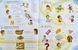 Робочий зошит для 3 класу Activity Book 1004290 фото 4