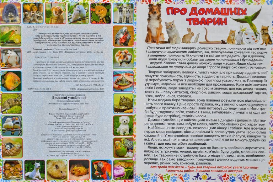 Домашні улюбленці. Енциклопедія для дітей 163471 фото