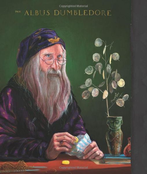 Harry Potter &ndash; A History of Magic 1023563 фото