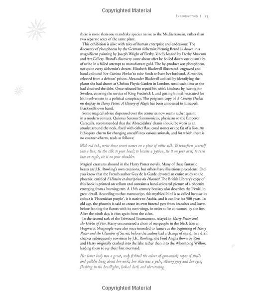 Harry Potter &ndash; A History of Magic 1023563 фото