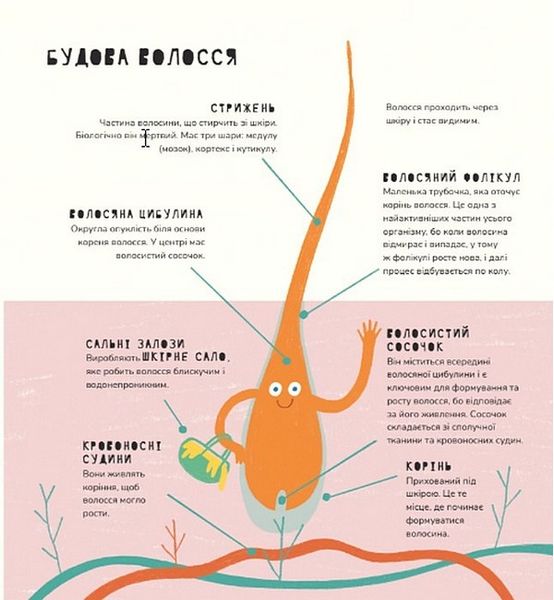 Книжка про волосся 1027132 фото