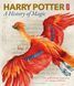 Harry Potter &ndash; A History of Magic 1023563 фото 1