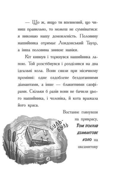 Тото. Кішка - ніндзя і таємниця крадія коштовностей. Книга 4 1019442 фото