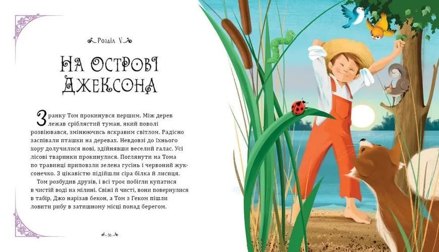 Пригоди Тома Соєра (ранок) 1035259 фото