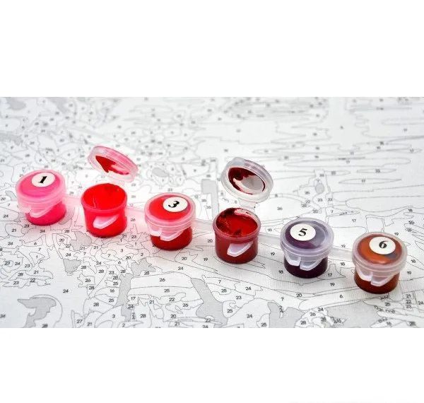 Картина по номерах Bookoptірський хребет 40х50 (ВК2046) 1011136 фото