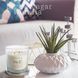 Ароматична свічка Bispol в скляному свічнику з металевою кришкою Premium Fragranced Candle №1 (snp100-001) 1016497 фото 7