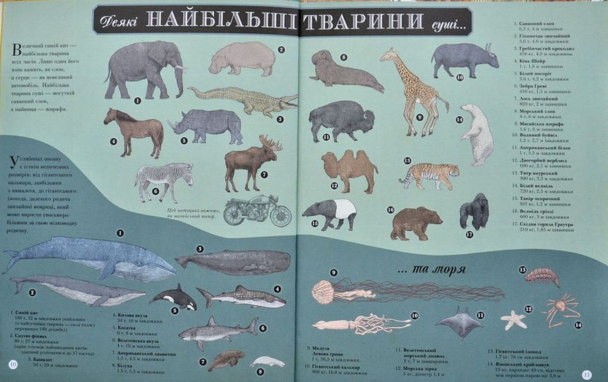 Найвища гора, Найглибший океан 1006021 фото