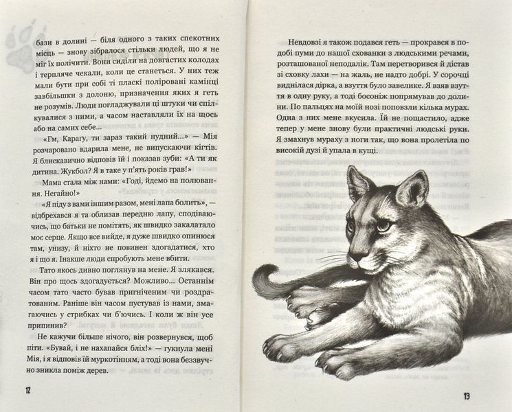Діти лісу. Таємниця Голлі. Книга 3 1008256 фото