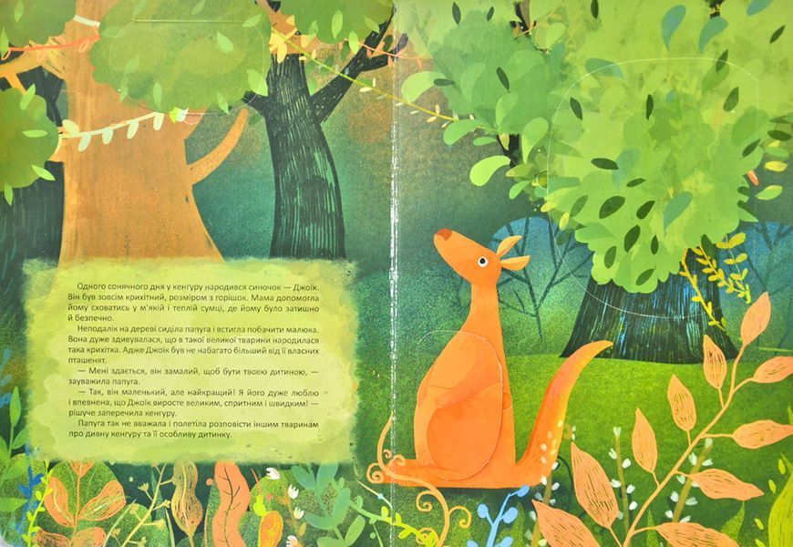 Такий особливий Джоїк. Книжка з віконцями (формат А4) 169550 фото