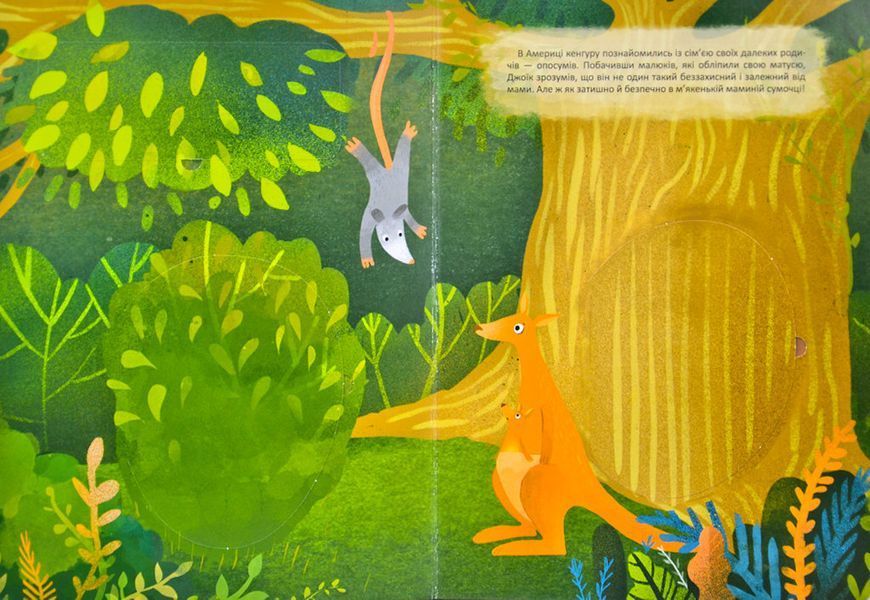 Такий особливий Джоїк. Книжка з віконцями (формат А4) 169550 фото